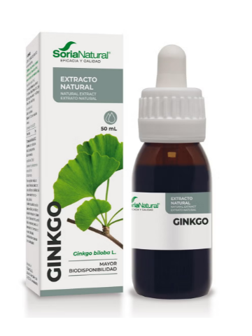 GINKGO BILOBA EXTRACTO...